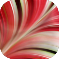 App-Icon